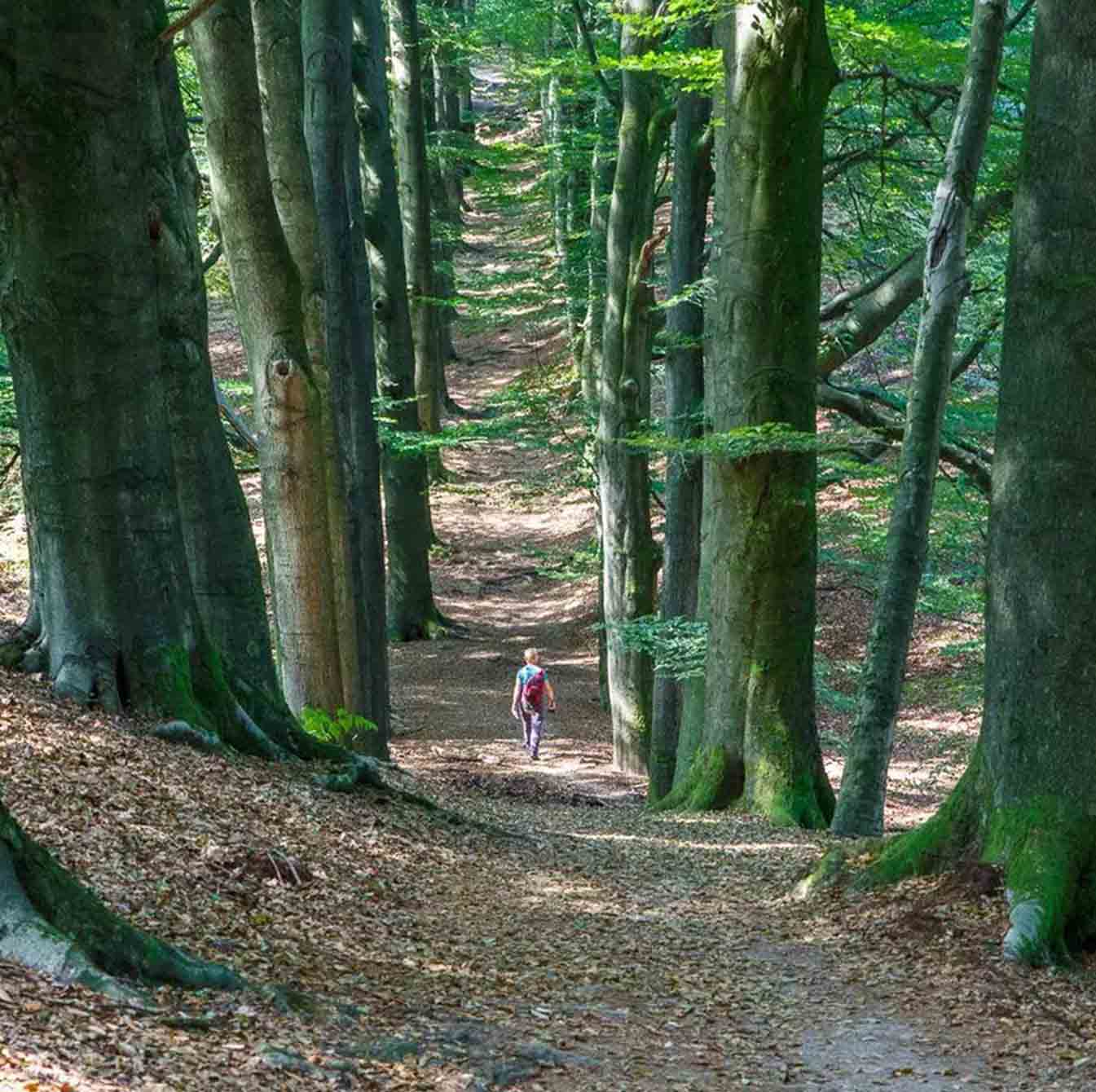 Verkenning van de Natuurlijke Bezienswaardigheden van Nijmegen: De Beste Plekken om de Natuur te Omarmen