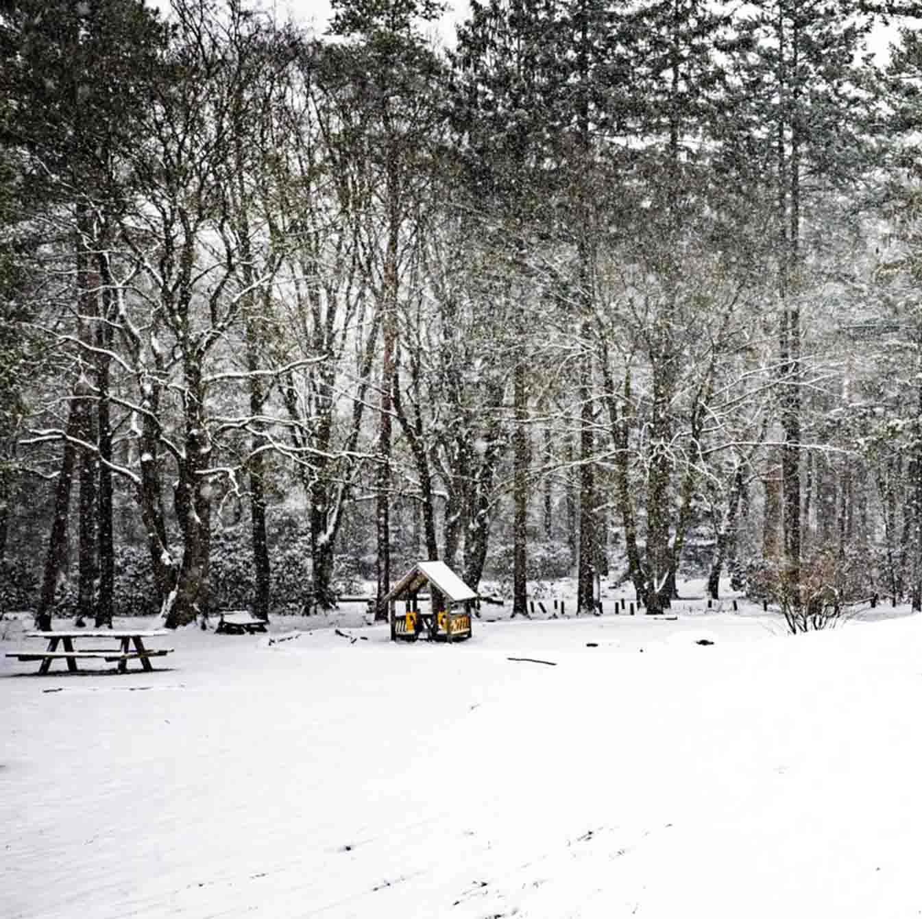 Vanuit Amsterdam naar Apeldoorn: Dagtrip in december