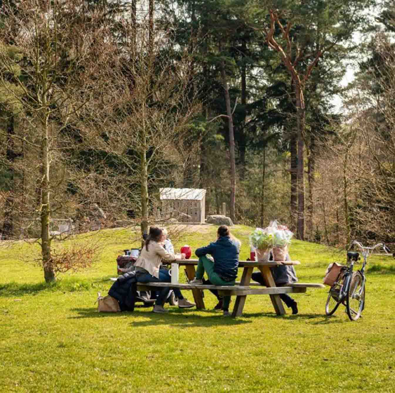 Apeldoorn Accommodatiegids: van luxe hotels tot bosrijke vakantiewoningen